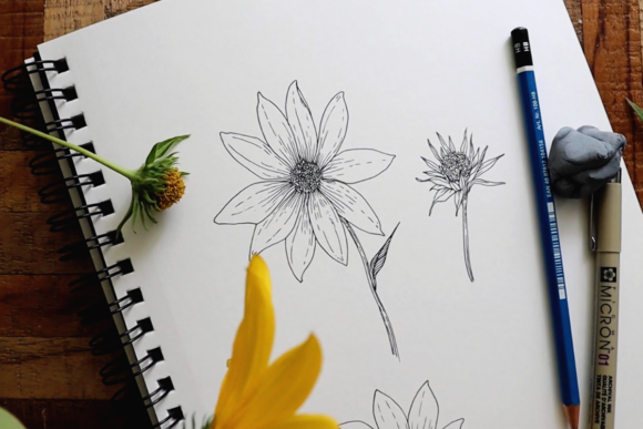 Download Floral Drawing Basics Part I: Inspiration, Tools + Basics Techniques - Floral drawing Collection